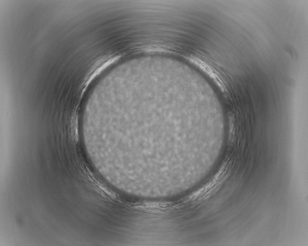 X0000115340782200912141238