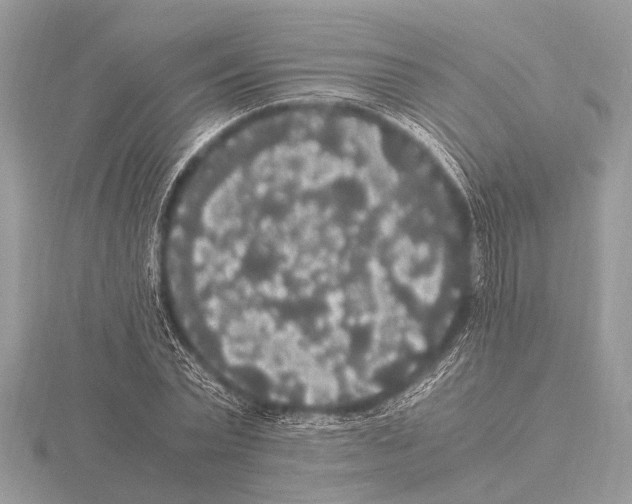 X0000115340783200912141238