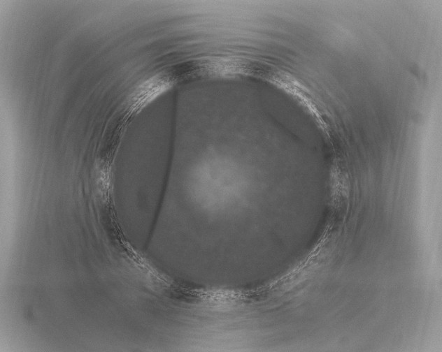 X0000115340785200912141238