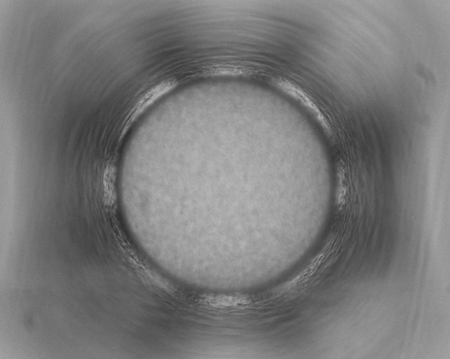 X0000115340786200912141238