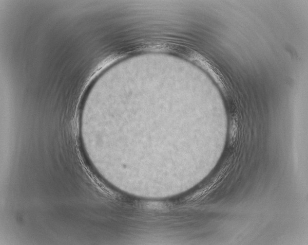 X0000115340787200912141238