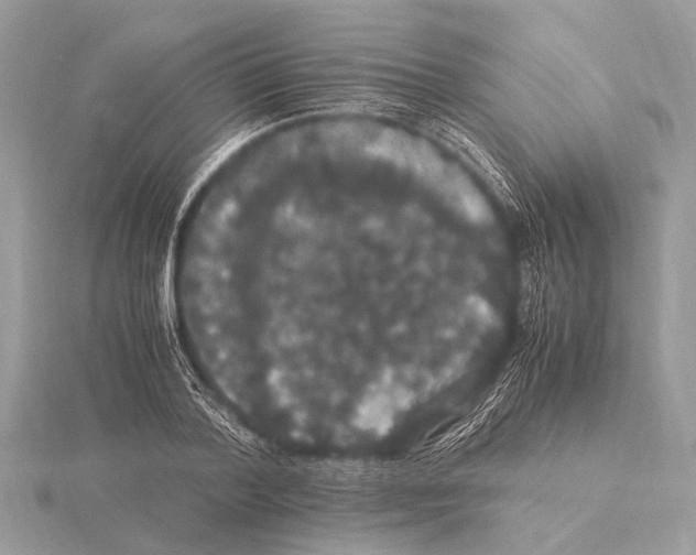 X0000115340788200912141238