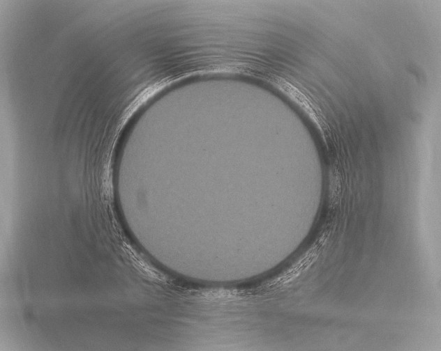 X0000115340789200912141238