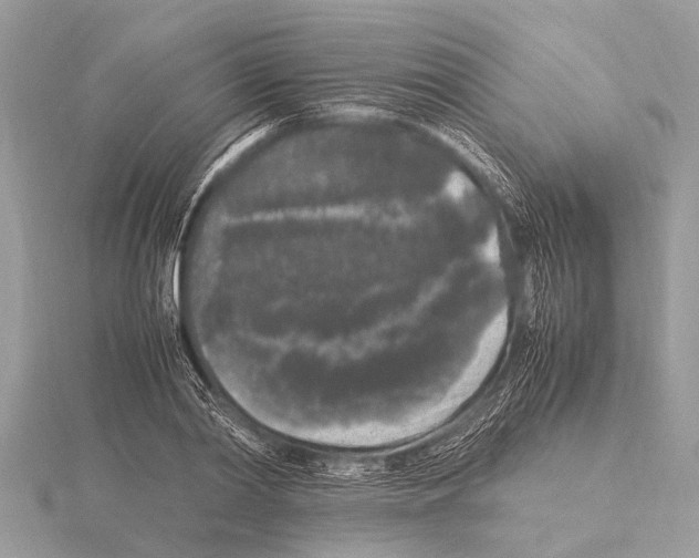 X0000115340790200912141238