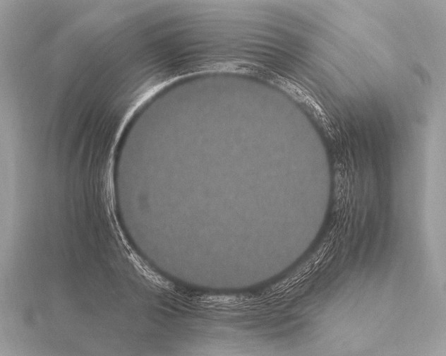 X0000115340792200912141238