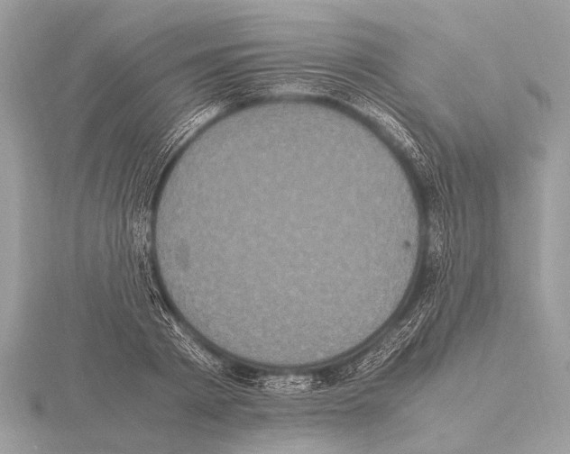 X0000115340793200912141238