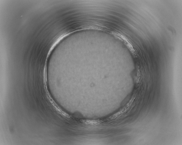 X0000115340796200912141238