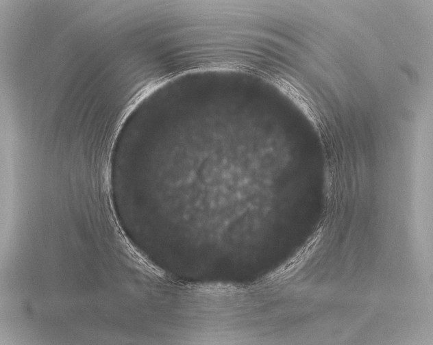 X0000115340797200912141238