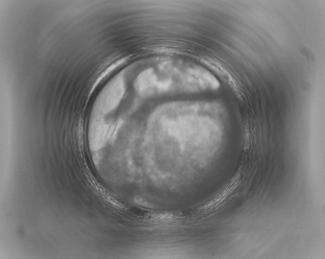 X0000115340798200912141238