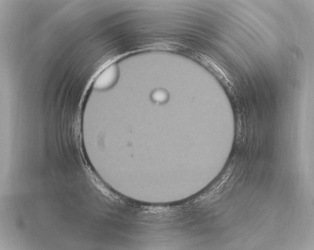 X0000115340800200912141238