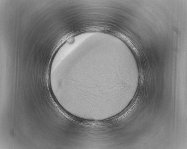 X0000115340802200912141238