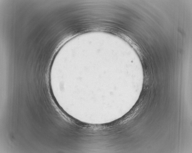 X0000115340803200912141238