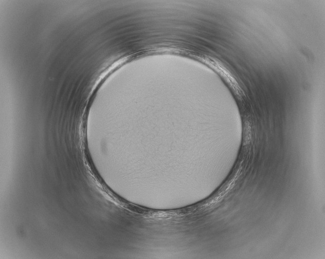 X0000115340806200912141238