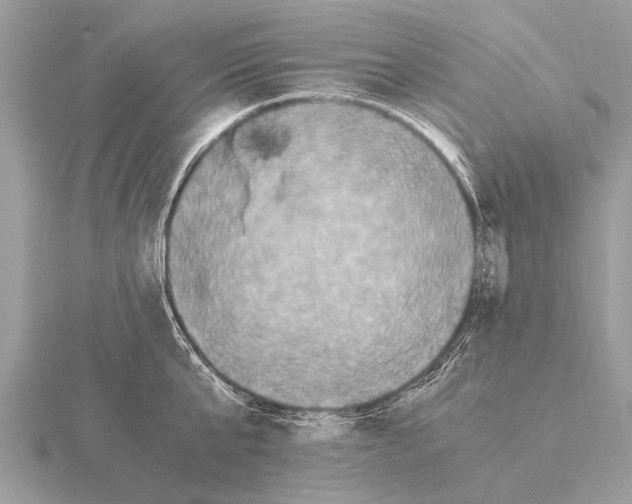 X0000115340807200912141238