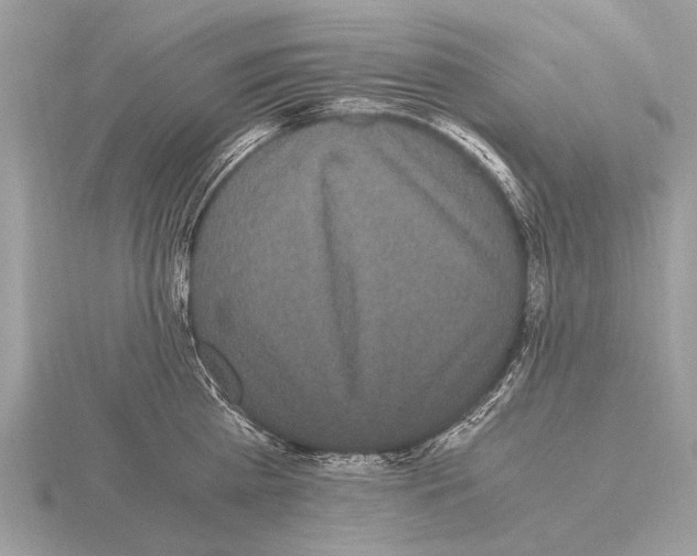 X0000115340809200912141238