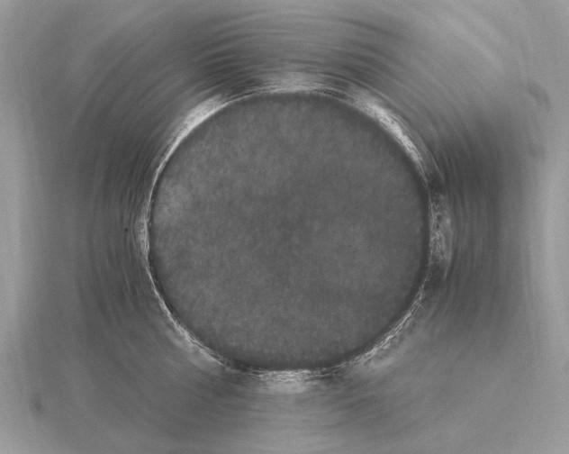 X0000115340810200912141238