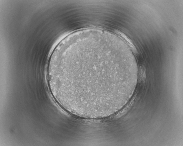 X0000115340812200912141238