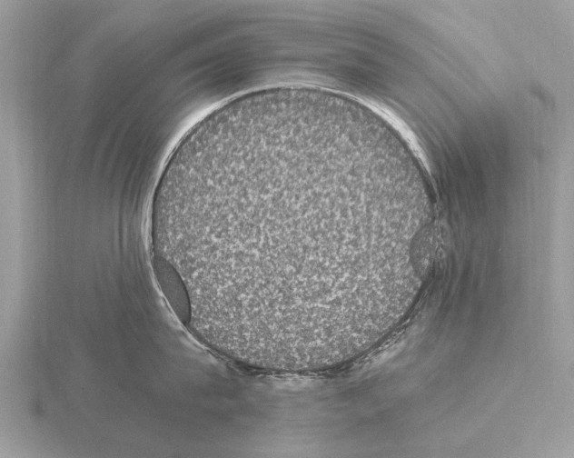 X0000115340815200912141238