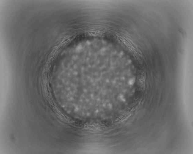 X0000115340817200912141237