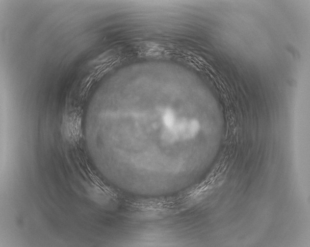 X0000115340820200912141237