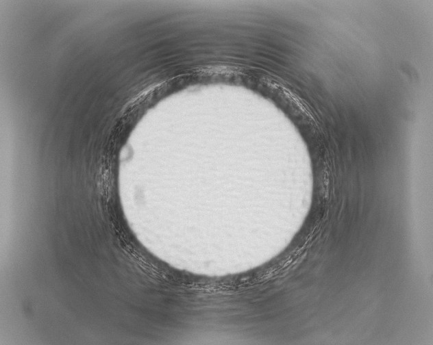 X0000115340821200912141237