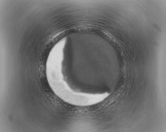 X0000115340822200912141237