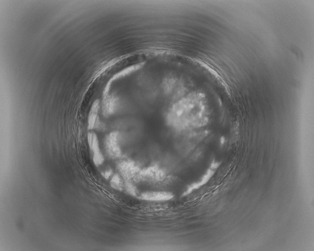 X0000115340823200912141237