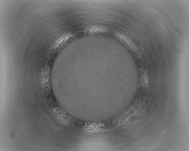 X0000115340824200912141237