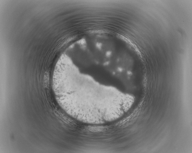 X0000115340825200912141237