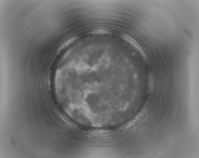 X0000115340826200912141237