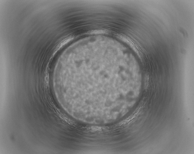 X0000115340827200912141237