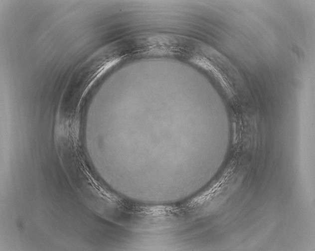 X0000115340828200912141237