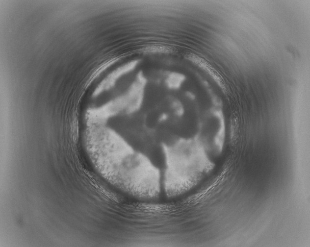 X0000115340829200912141237