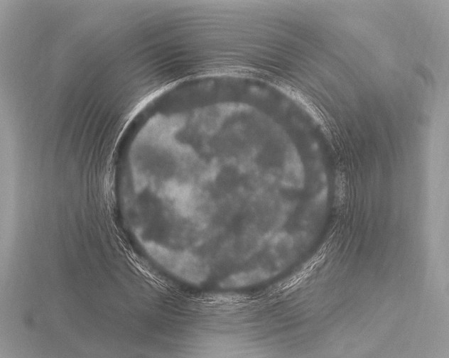 X0000115340830200912141238