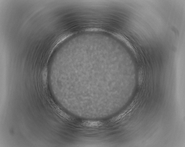 X0000115340831200912141238