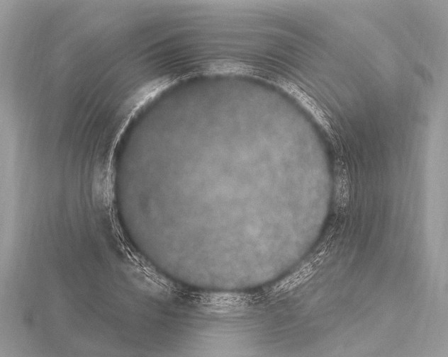 X0000115340832200912141238