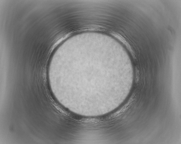 X0000115340834200912141238