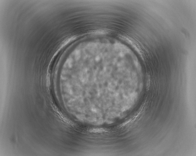 X0000115340835200912141238