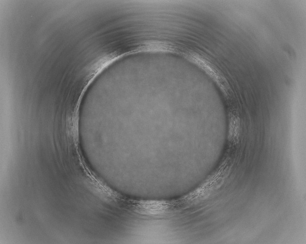 X0000115340836200912141238