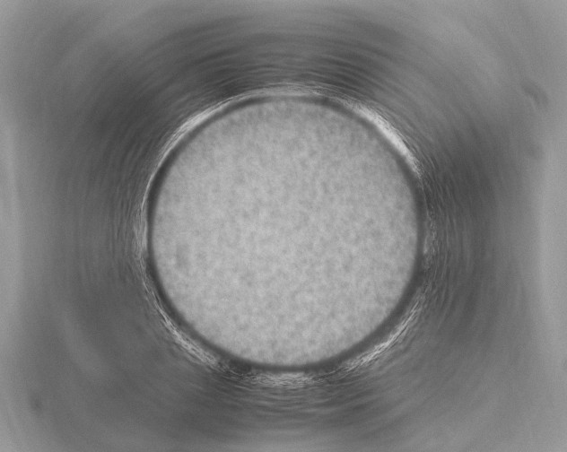 X0000115340837200912141238