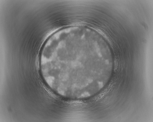 X0000115340838200912141238