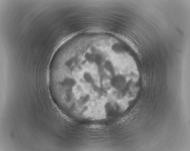 X0000115340839200912141238