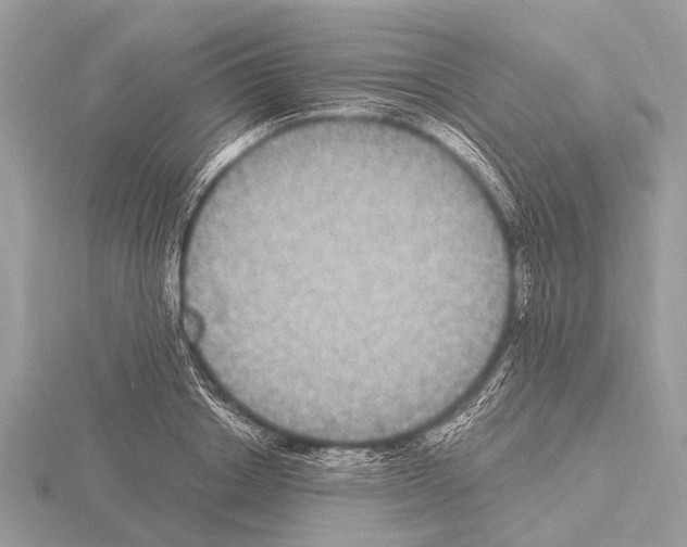 X0000115340842200912141238