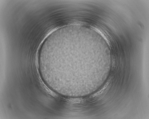 X0000115340843200912141238