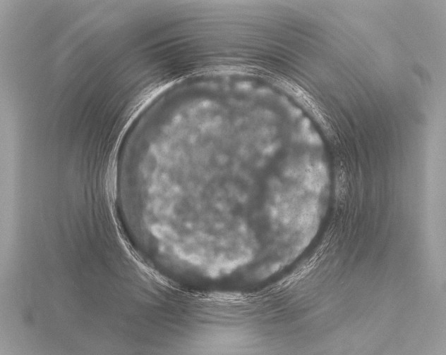 X0000115340844200912141238