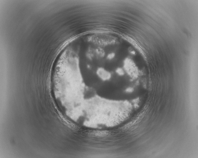 X0000115340845200912141238