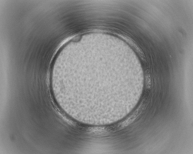 X0000115340846200912141238