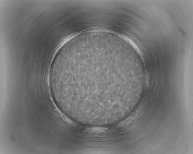 X0000115340847200912141238