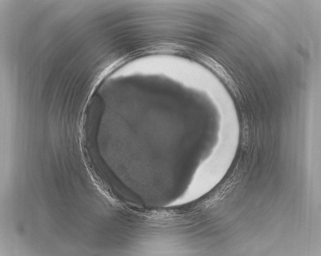 X0000115340850200912141238