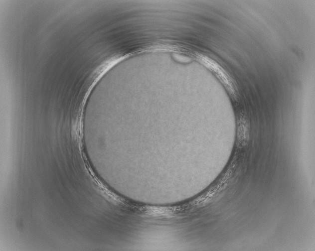 X0000115340852200912141238